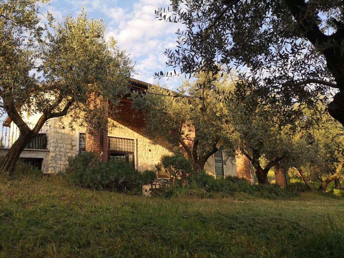 Agriturismo Bosco Magico Верона Экстерьер фото