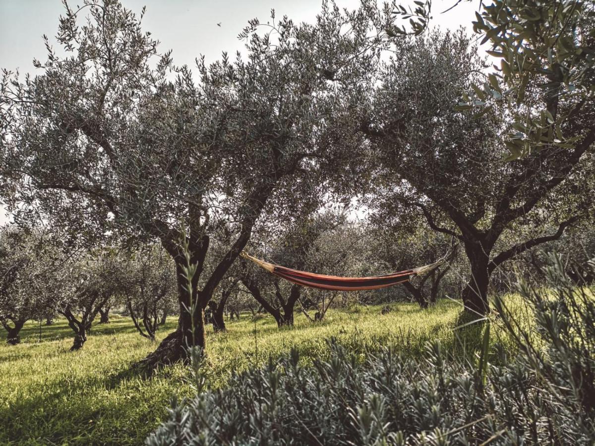 Agriturismo Bosco Magico Верона Экстерьер фото