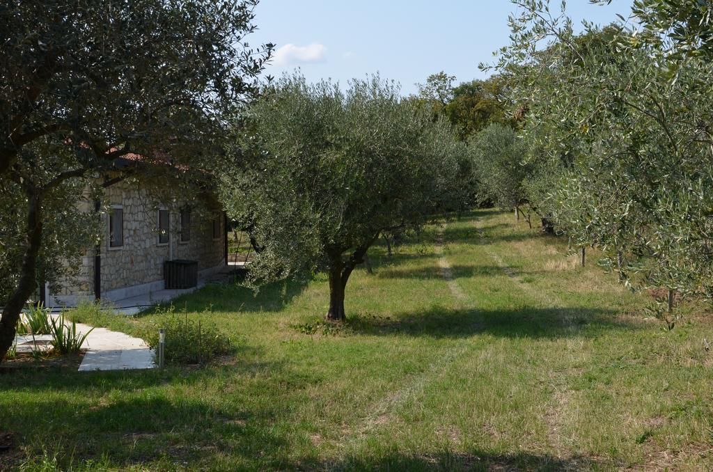 Agriturismo Bosco Magico Верона Экстерьер фото