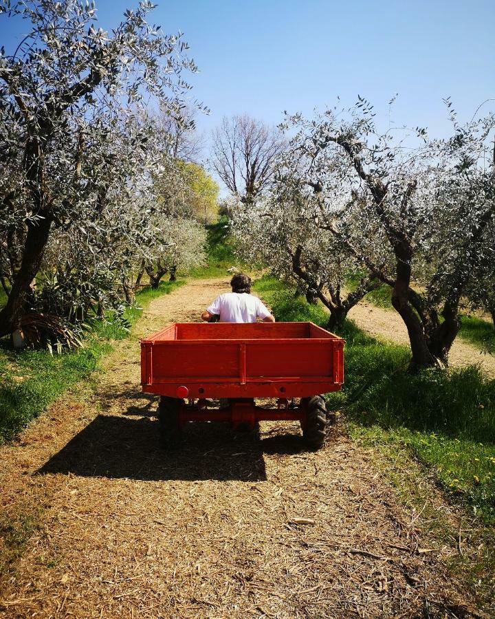 Agriturismo Bosco Magico Верона Экстерьер фото