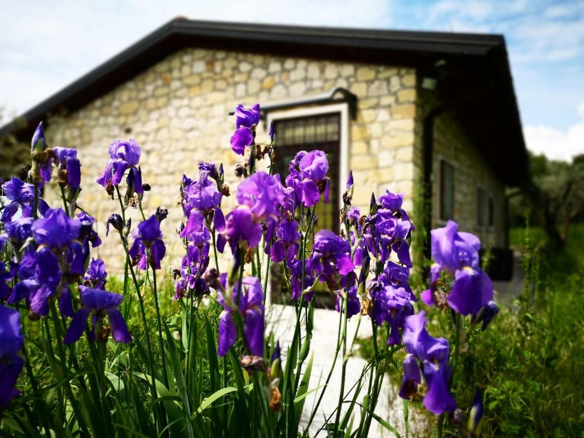 Agriturismo Bosco Magico Верона Экстерьер фото