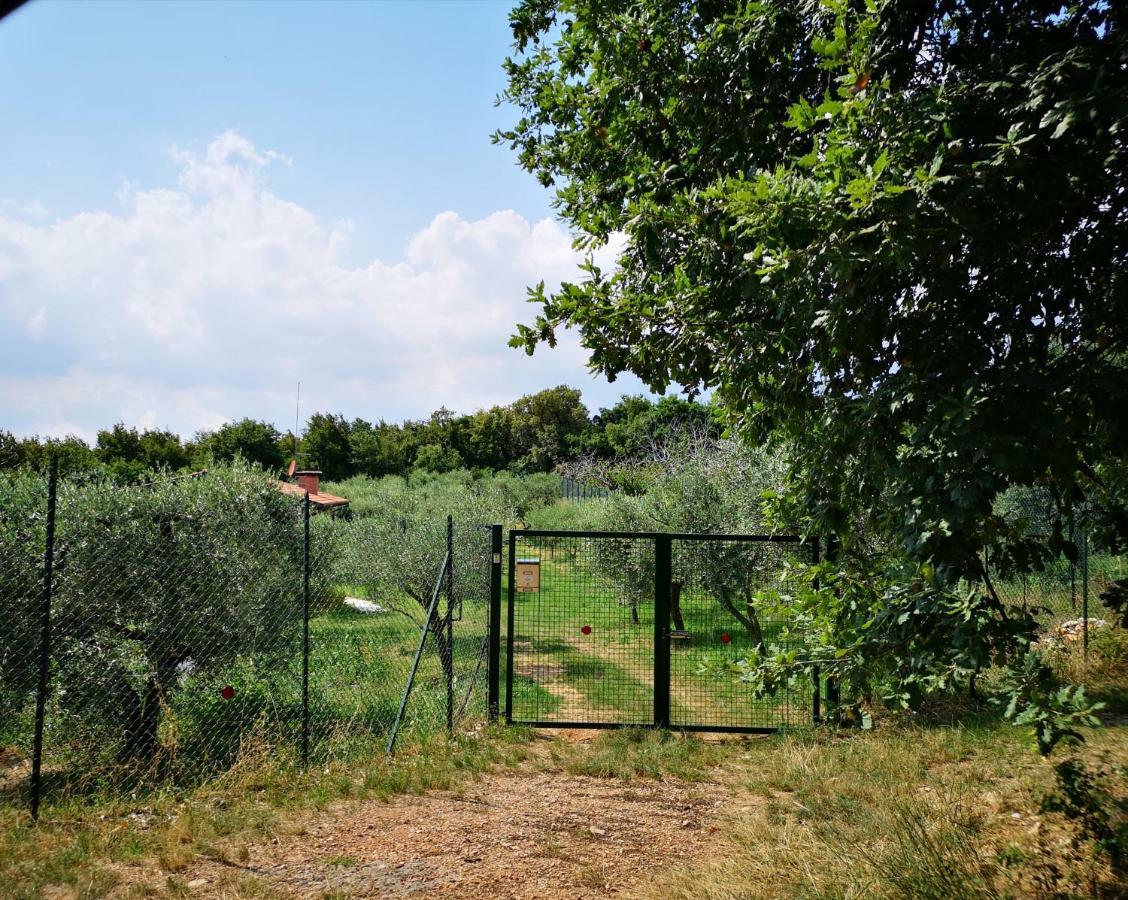 Agriturismo Bosco Magico Верона Экстерьер фото